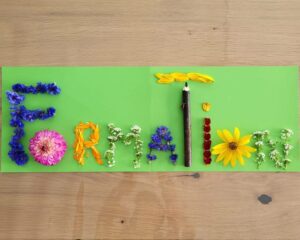 Lire la suite à propos de l’article Formation Plantes Comestibles – production biologique, transformation et commercialisation